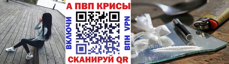 Альфа ПВП СК  Плёс 
