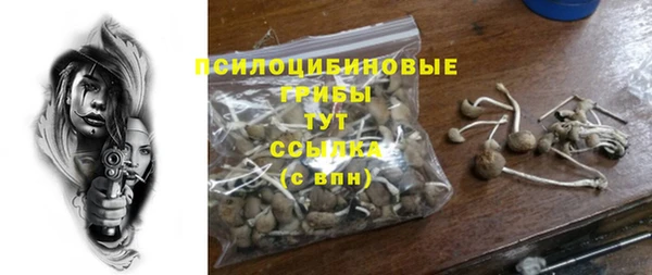 спиды Дмитровск
