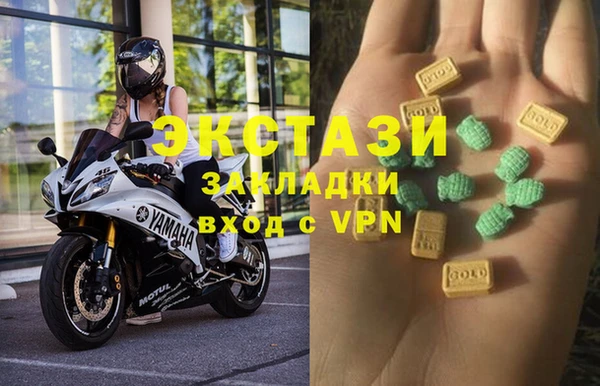 тгк Дмитриев