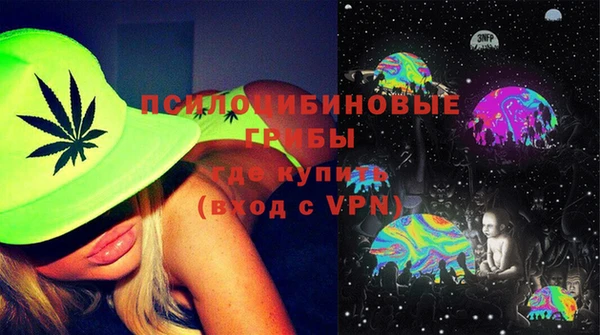 мет Дмитров
