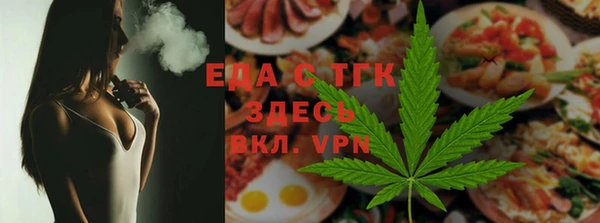 тгк Дмитриев