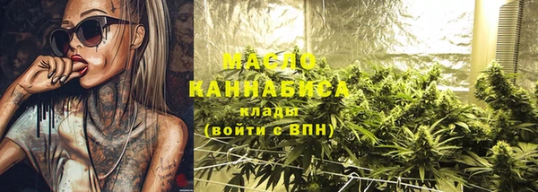 тгк Дмитриев