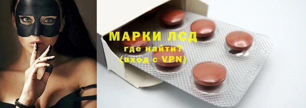 тгк Дмитриев