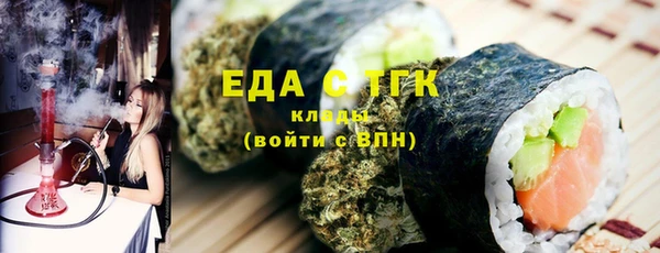 тгк Дмитриев