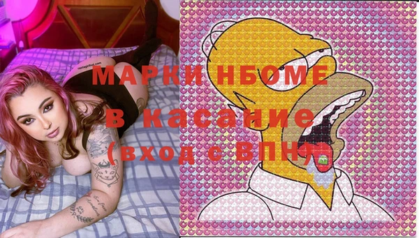 тгк Дмитриев