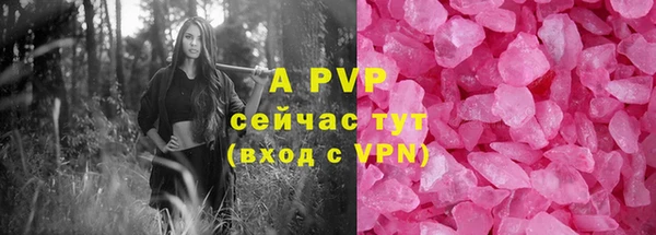 тгк Дмитриев